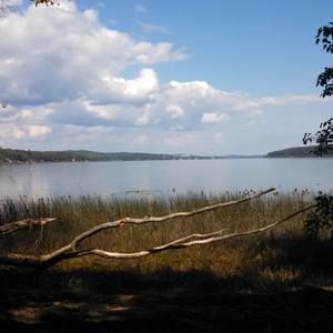 Meet your Posher, Ron